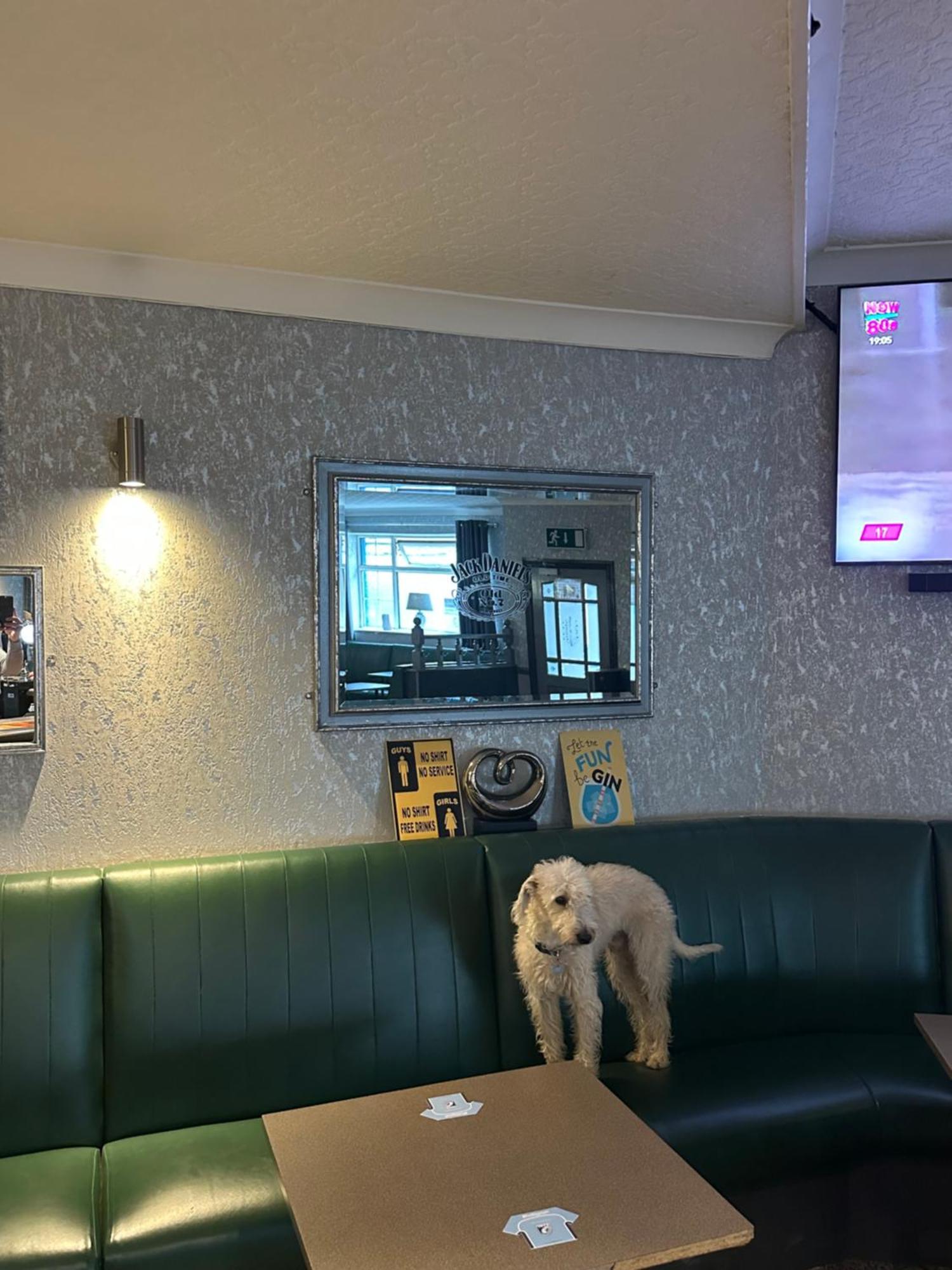 The Angel Inn Troed-y-rhiw Eksteriør bilde